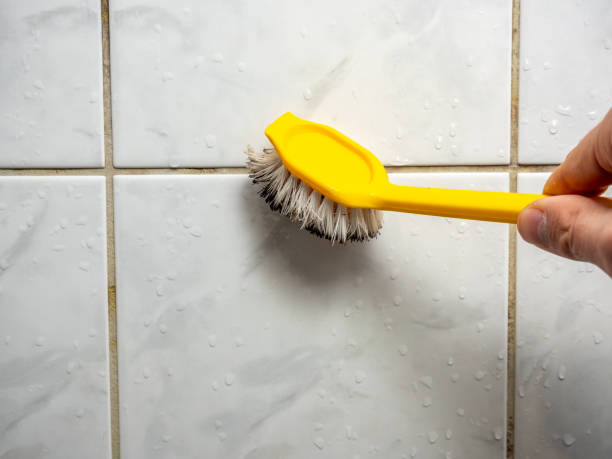 Best Mold Damage Repair  in Nth Bend, OR