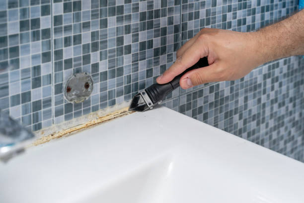 Best Certified Mold Removal  in Nth Bend, OR