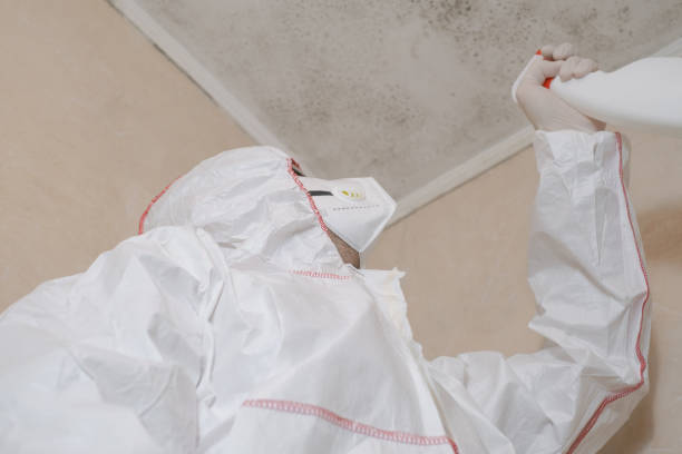 Best Toxic Mold Removal  in Nth Bend, OR